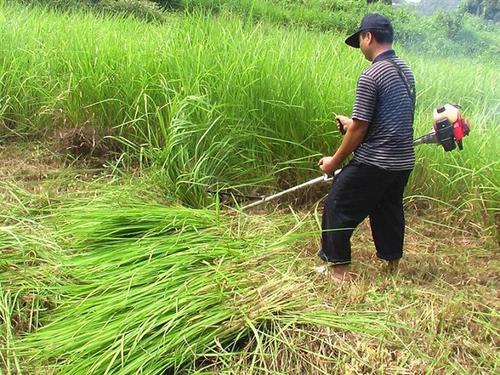 海南割草機